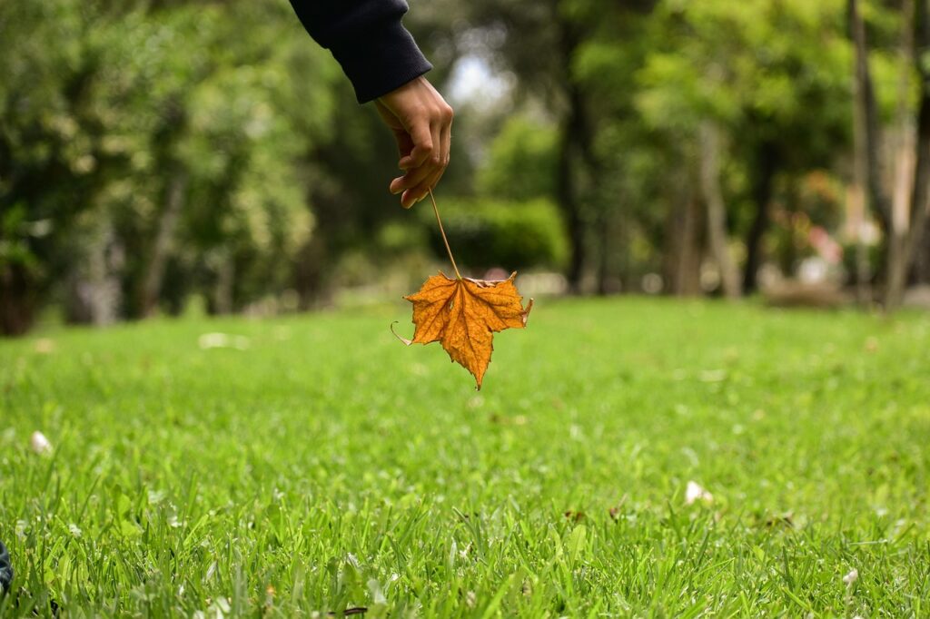 final-expense-miami, senior-burial-insurance, fixed-premiums, no-rate-hikes, reliable-coverage, local-miami-agents, fast-claims-payout, whole-life-insurance, family-protection, affordable-peace-of-mind